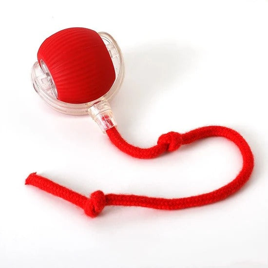 Rope Tug Chew Toy for Dogs